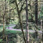 Portland: Forest Park Bike or E-Bike Tour - Starting Point in Old Town Portland