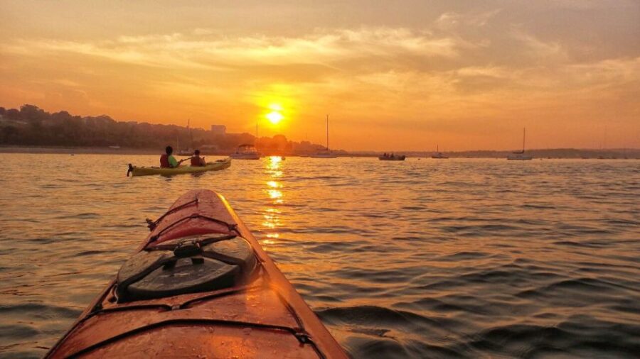 Portland, Maine: Sunset Kayak Tour with a Guide - Meeting Location at Portland Paddle on Cutter Street