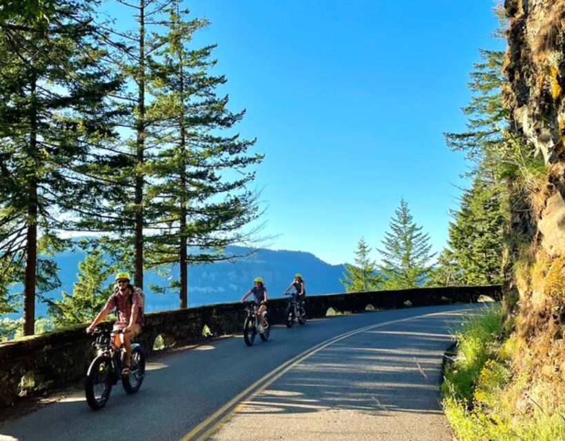 Portland: Multnomah Falls E-Bike Tour in the Columbia Gorge - The E-Bike Fleet and Comfort Features