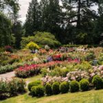 Portland, Oregon: City Highlights Tour with Aerial Tram Ride - Starting Point at Director Park in Downtown Portland