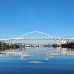Portland's Ultimate 12 Historic Bridges' Scenic Boat Tour - Wildlife Sightings: Eagles, Sea Lions, and Bird Refugees