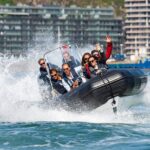Porto 6 bridges Speedboat Tour along the Douro - Cruising on the Douro River and Out to Sea