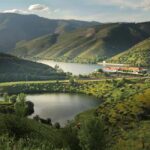 Porto: Douro Valley 2 Wineries, Tastings, Lunch & Boat Tour - What to Expect from the Two Wineries