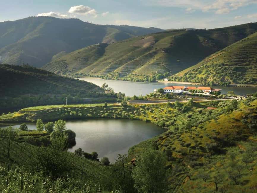 Porto: Douro Valley 2 Wineries, Tastings, Lunch & Boat Tour - What to Expect from the Two Wineries