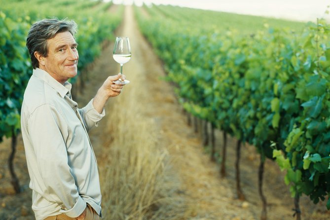 Porto: Douro Valley Wine Tour Including Lunch - Exploring the UNESCO-Listed Douro Valley