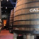 Porto: Hop-on Hop-off Bus with Optional Cruise & Wine Cellar - Exploring Porto with the Bus Routes