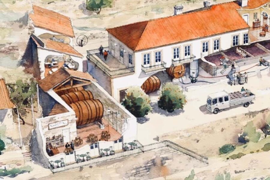 Porto: premium wine tour at Fonseca cellars - Private and Exclusive Tour Experience