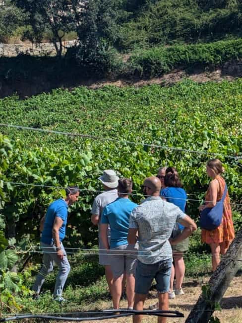 Porto: Private Douro Valley tour with lunch, wine tasting, and a cruise - 2 wineries - Photo Stop at the Douro Valley’s Enchanting Vineyards