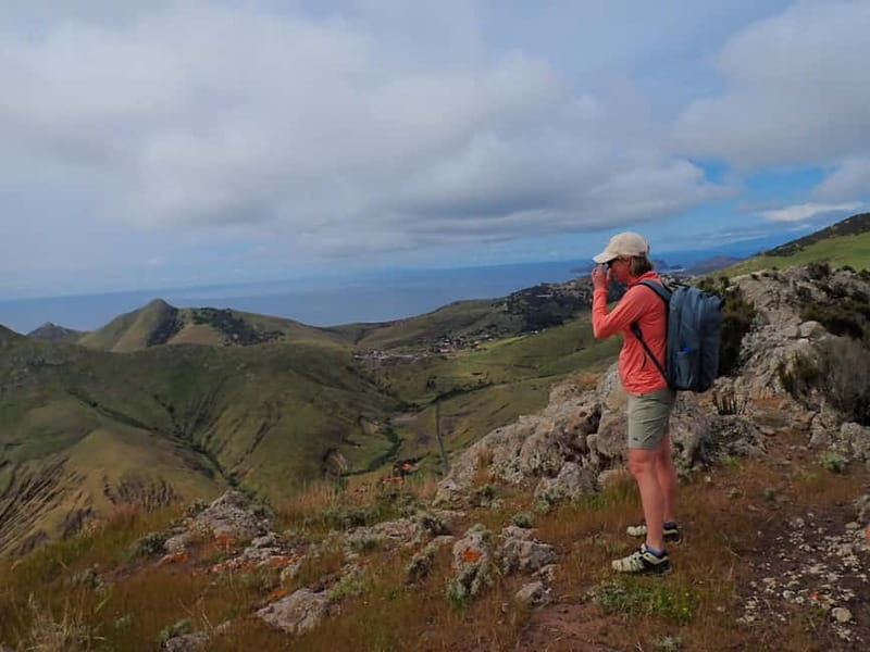 Porto Santo: Terra Chã and Pico Branco Hiking tour - Discover the Wild Beauty of Porto Santo with a Guided Hike