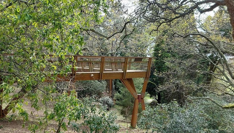 Porto: Serralves Gardens Art and Architecture Walking Tour - The Serralves Museum and Its Architectural Significance