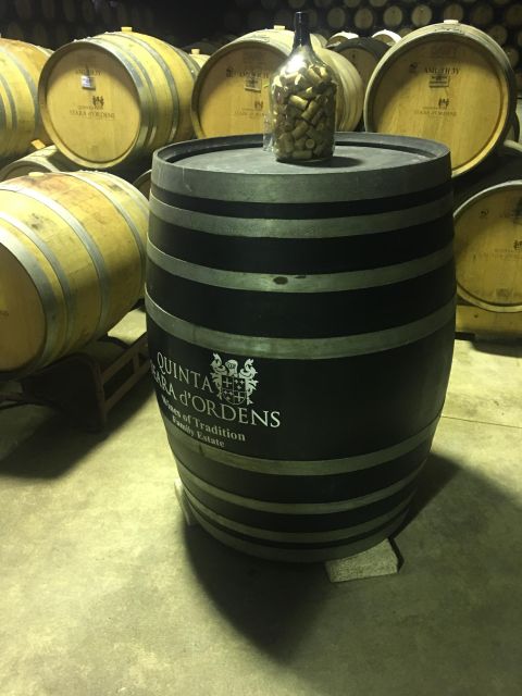 Porto to Douro Valley Private tour in a 4x4 like a native - Highlights of the Porto to Douro Valley Off-Road Experience