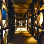 Porto: Wine Tastings (Green Wine) & Tradicional Lunch - Porto’s Vinho Verde Region and Its Historic Cellars