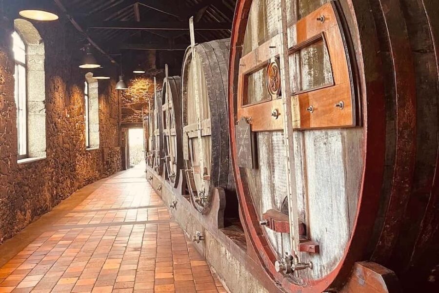Porto wine tour - exquisite and private to Burmester Cellars - Tour Schedule and Logistics