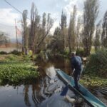 Pre-Hispanic Xochimilco and ajolotario. Private Ecotour. - Visiting Cuahilama Hill: The Ancient Ceremonial Center