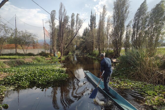 Pre-Hispanic Xochimilco and ajolotario. Private Ecotour. - Visiting Cuahilama Hill: The Ancient Ceremonial Center