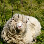 Prehistoric Britain: Ancient Caves, Stonehenge & Haunted Forest - Exploring West Woods and North Wessex Downs