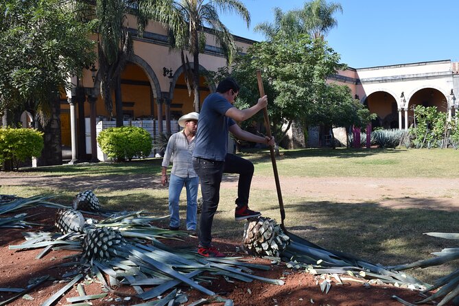 Premium Classic Tequila Experience in Cava de Oro - Exploring Tequila Town’s Historic Charm and Photogenic Spots