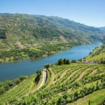 Premium Douro Valley Small-Group Tour, Wine Tasting, Lunch & Boat - Lunch at Casa dos Barros with Vineyard Views