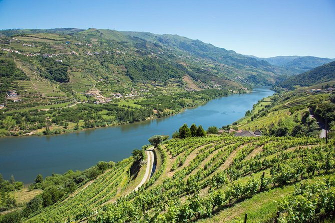 Premium Douro Valley Small-Group Tour, Wine Tasting, Lunch & Boat - Lunch at Casa dos Barros with Vineyard Views