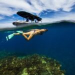 Premium Kona Coast Morning Snorkel - The Snorkeling Experience and Marine Wildlife Encounters