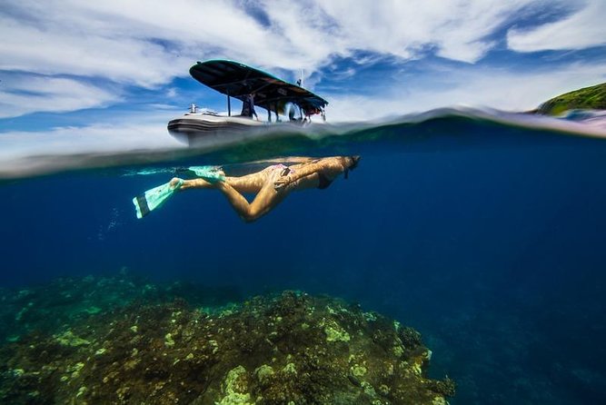 Premium Kona Coast Morning Snorkel - The Snorkeling Experience and Marine Wildlife Encounters