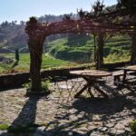 Premium Private Douro & Vinho Verde Tour: Wine Tastings & Lunch - The Culinary Highlight: A 3-Course Lunch Paired with Premium Wines
