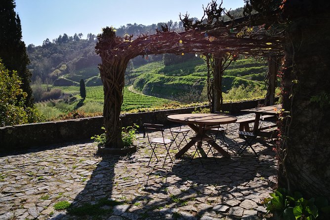 Premium Private Douro & Vinho Verde Tour: Wine Tastings & Lunch - The Culinary Highlight: A 3-Course Lunch Paired with Premium Wines