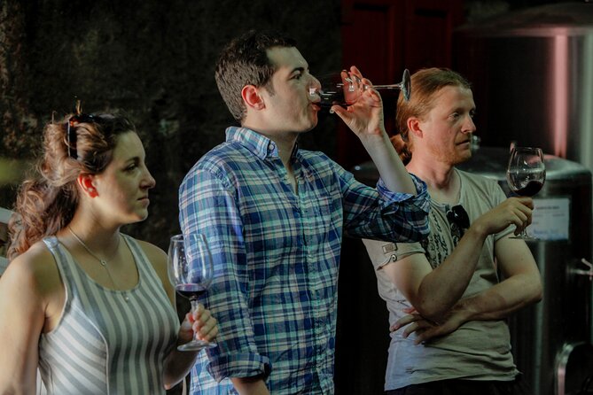 PREMIUM TASTING and TAPAS with GUIDED TOUR - Discover the Charm of Quinta do Beijo’s Family Estate