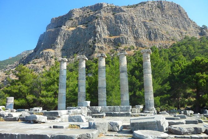 Priene, Miletus, and Didyma Day Tour from Kusadasi - Discovering Priene’s Scenic Location and Ruins