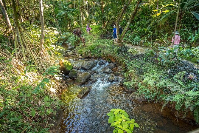 Princeville Botanical Gardens Tour and Chocolate Tasting Ticket - From the Valley Floor to the Hillside Terraces