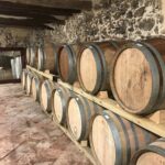 Priorat Wine Tasting Tour from Salou with hotel pickup - Visiting the Priorat Winery in Cornudella