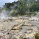 Privat van tour Furnas valley, Gorreana tea  islands gems - Discover São Miguel’s Stunning Volcanoes and Lakes