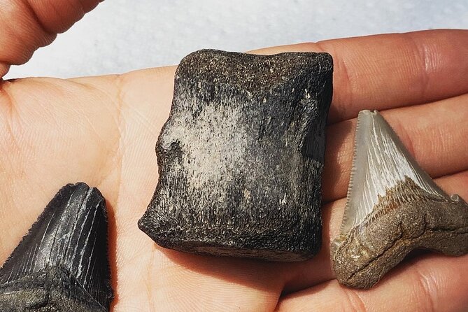 Private 2 Hour Morris Island and River Cruise - Exploring Morris Island Lighthouse: A 19th-Century Landmark