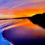 Private 2 Hour Sunset Cruise Marco Island, FL - Wildlife Sightings: Dolphins, Manatees, and More
