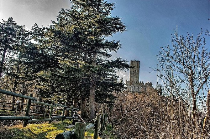 Private 2-Hour Tour of the Medieval Castle over Lake Como - Walking Through Parco Spina Verde Toward the Castle