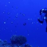 Private 2 Tank Dive at Molokini Crater Certified Divers Only - What’s Included in this Private Dive Tour