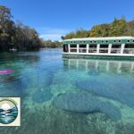 Private 2Hour Clear Kayak/ROC Paddle Board Rental on Silver River - What’s Included in the Rental Experience