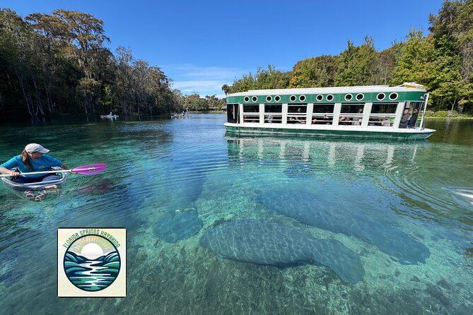 Private 2Hour Clear Kayak/ROC Paddle Board Rental on Silver River - What’s Included in the Rental Experience