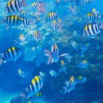 Private 3-Hour Snorkeling Tour with Arch Tour and Beach Time - Captivating Stops: Pirates Cave, Lovers Beach, and More