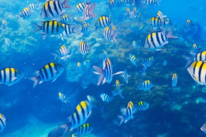 Private 3-Hour Snorkeling Tour with Arch Tour and Beach Time - Captivating Stops: Pirates Cave, Lovers Beach, and More