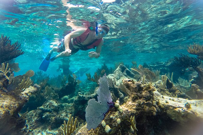 Private 3 in 1 Discovery Combo Tours Tulum Ruins, Snorkeling & Cenotes Adventure - Starting Point and Overall Experience