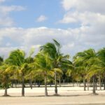 Private 4-hours City Tour of Miami from Miami Airport with private driver/guide - The Highlights: Ocean Drive and the Art Deco District