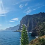 Private 4x4 Jeep Full Day Porto Moniz or Santana - Visiting Ribeira Brava and the Local Agriculture