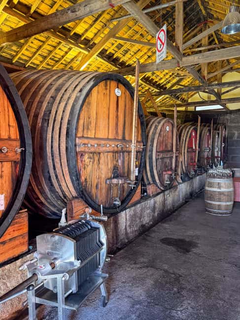 Private 4x4 Jeep Tour in the Douro - Visiting a Family Wine Estate for Tasting and Tour