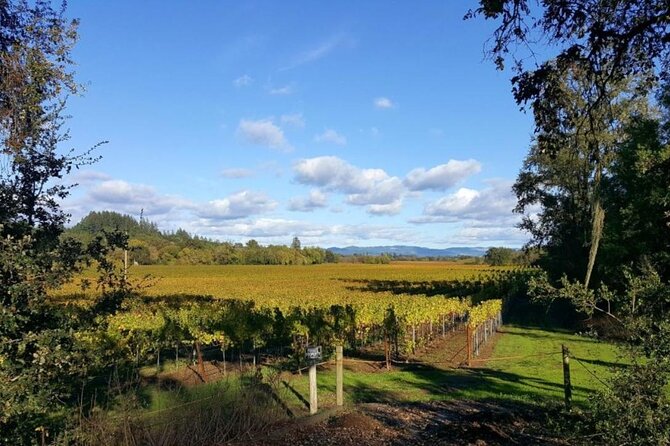 Private 5 day California Vineyards, Waves and Wine Tour - Day 2: Scenic Hike at Tomales Bay State Park