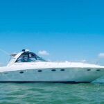 Private 50FT Yacht Rental in Cancún P8 - How to Book and What to Expect from Your Yacht Rental