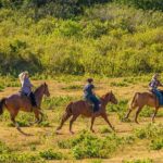 Private Advanced Trail Ride - Pacing and Safety: Designed for Experienced Riders