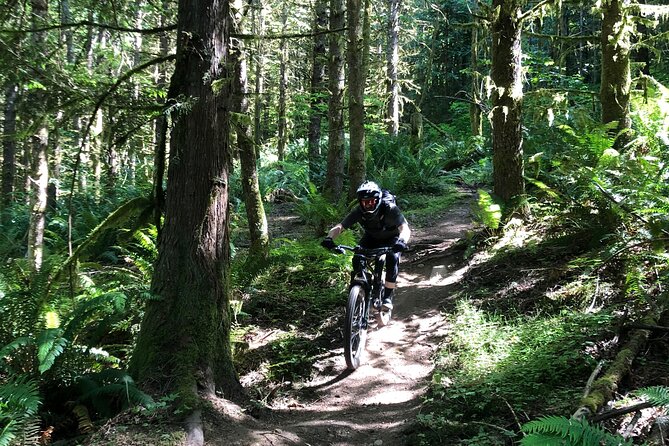 Private Adventure Mountain Biking in Seattle's Eastside - From Warm-up to the Most Exciting Trails