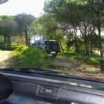 Private Algarve Tour with Typical Lunch, pax min. 2. - The Historical Charm of Silves