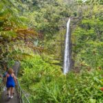 Private: All Inclusive Big Island Waterfalls Tour - Unpacking the Unique Features of This Waterfalls Tour